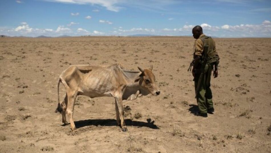 Hambruna en Somalia, Etiopía y Kenia por sequía