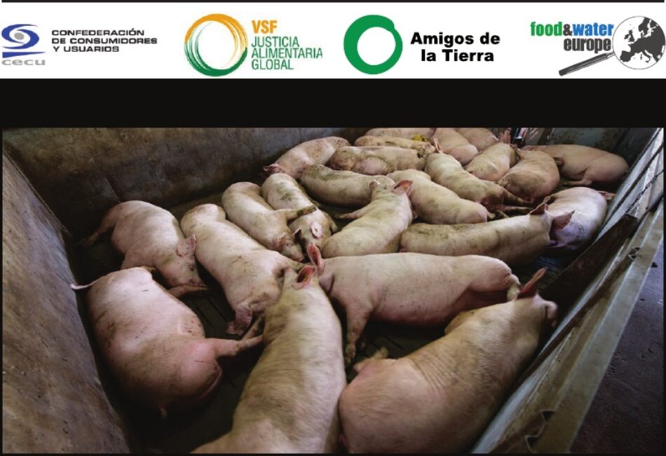 ¿Un país para cerdos? Un nuevo informe desvela los impactos de la industria española del porcino