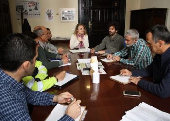 Participa e IU denuncian los reiterados abusos laborales en el servicio de alumbrado municipal