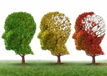 El Congreso aprueba una PNL de Unidos Podemos para una Política de Estado de Alzheimer