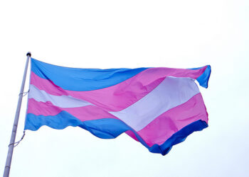 Transexuales de Andalucía insta a los gobiernos municipales y autonómico a engalanar la bandera trans y a pronunciarse contra la campaña de odio y transfobia de hazte oir