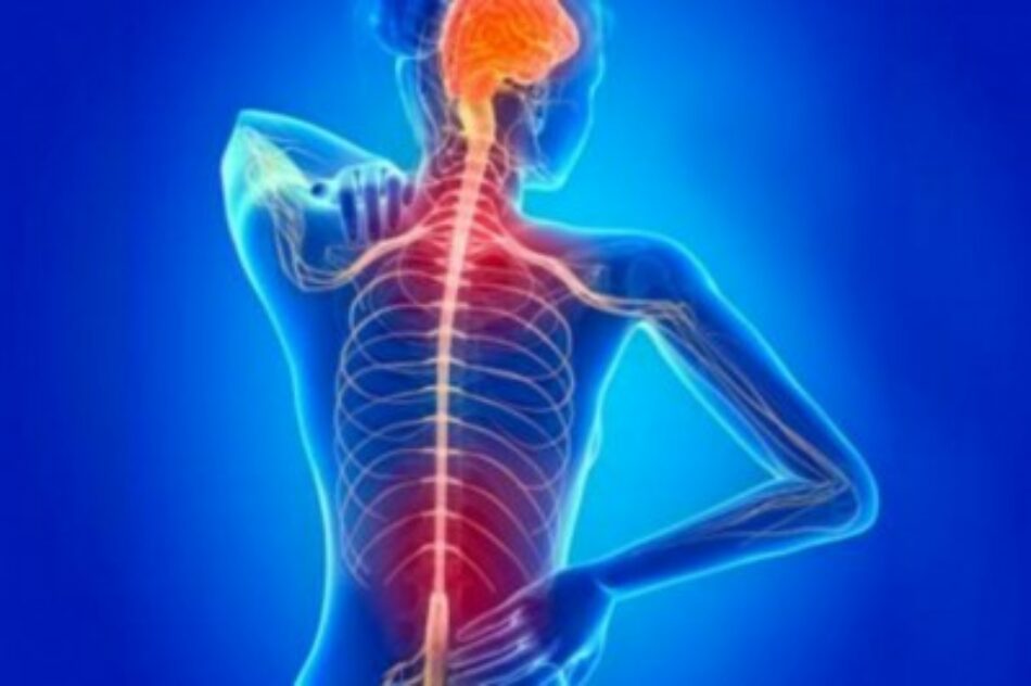 Programa cubano beneficia a pacientes con esclerosis múltiple