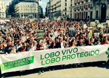 Miles de personas piden en Madrid que se dejen de matar lobos al grito de ‘Lobo vivo, lobo protegido’