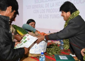 Evo: Nueva ley garantiza la siembra de coca de por vida en Bolivia