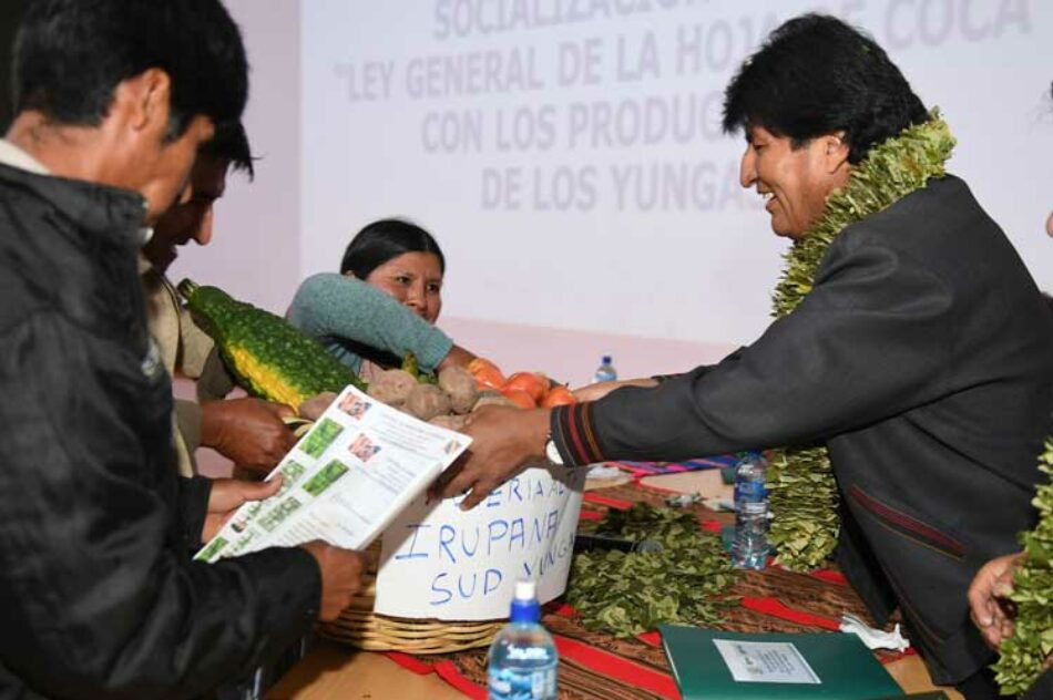 Evo: Nueva ley garantiza la siembra de coca de por vida en Bolivia