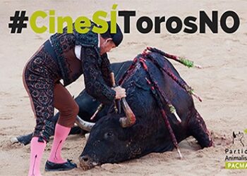 PACMA responde al Gobierno: #CineSÍTorosNo