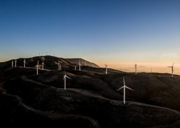 IU apoya la nueva Directiva de Energías Renovables