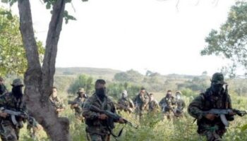 Comienzan movimientos para la desmovilización de un grupo paramilitar en Colombia