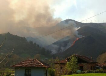 Asturias pasará  a ser la única Comunidad de toda la UE en la que no se acotarán al pastoreo las zonas arrasadas por incendios forestales