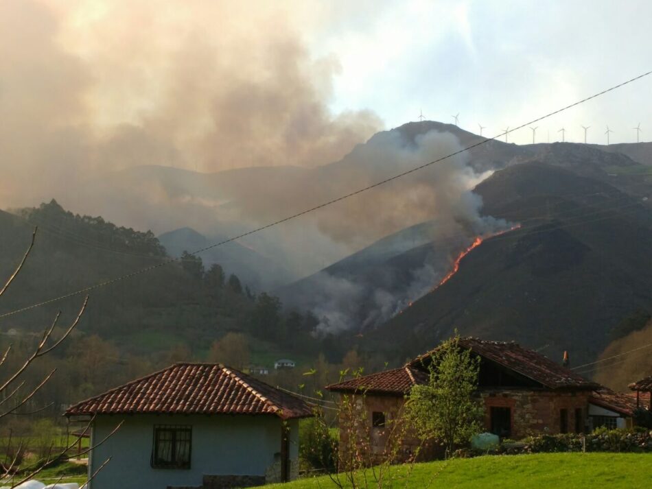 Asturias pasará  a ser la única Comunidad de toda la UE en la que no se acotarán al pastoreo las zonas arrasadas por incendios forestales