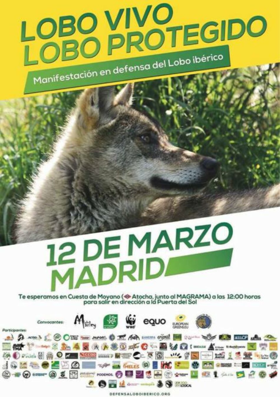 EQUO pide entender la recuperación del lobo como una oportunidad para las zonas rurales