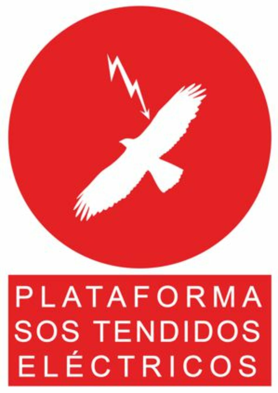 Evitar el impacto de los tendidos eléctricos en las aves requiere modificar una norma insuficiente