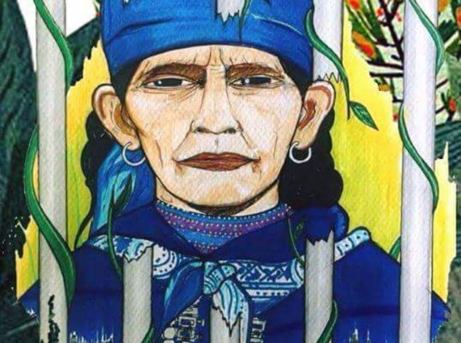 Nación Mapuche. Actualización de la situación judicial de la Machi Francisca Linconao y movilización