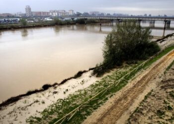 Alianza Verde impulsa la puesta en marcha de medidas para evitar y gestionar de manera eficaz la contaminación ambiental provocada por las toallitas húmedas