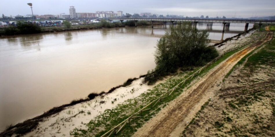 Participa Sevilla celebra, pero ve insuficiente, la suspensión provisional del dragado del río