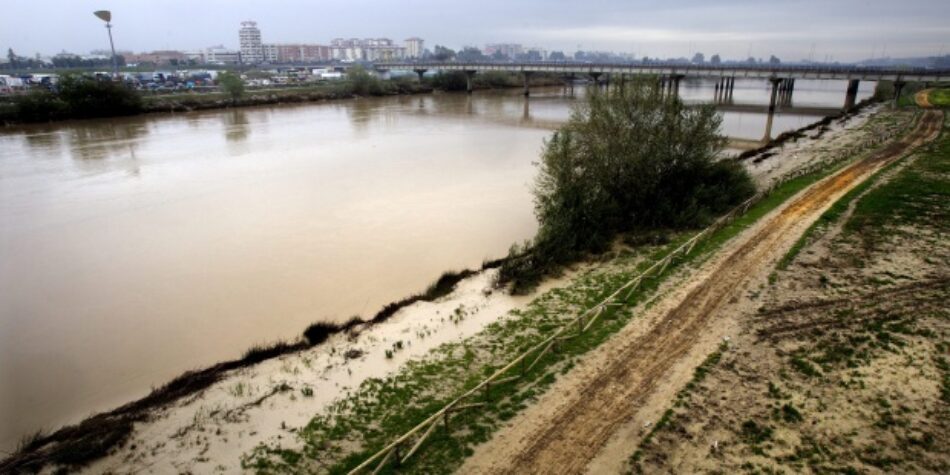 Alianza Verde impulsa la puesta en marcha de medidas para evitar y gestionar de manera eficaz la contaminación ambiental provocada por las toallitas húmedas