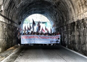 Chapela leva ate a factoría de Pescanova a protesta contra a multinacional