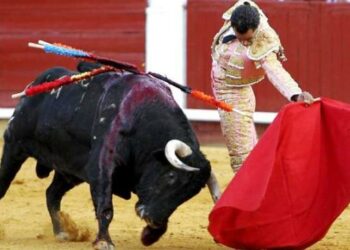 PACMA entrega en el Ministerio de Cultura 100.000 firmas contra la bajada del IVA a los toros