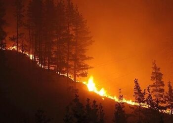 Equo: Asturias arde porque la queman