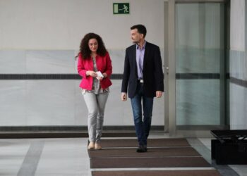 Maíllo achaca a Susana Díaz que el poder andaluz “nunca” ha estado tan “catatónico”
