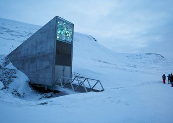 La ‘bóveda del fin de mundo’, sin electrónica ni personal para evitar su destrucción