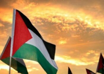 La Organización para la Liberación de Palestina, más de 50 años de lucha