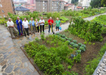 Los huertos urbanos no “germinarán” esta primavera en Las Rozas