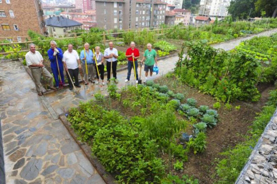 Los huertos urbanos no “germinarán” esta primavera en Las Rozas