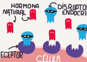 Otro nuevo retraso en la elaboración de criterios para los disruptores endocrinos pone en riesgo la salud humana y el medio ambiente