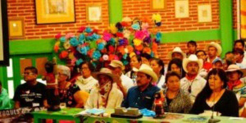 Pueblos originarios de México crean Concejo Indígena de Gobierno