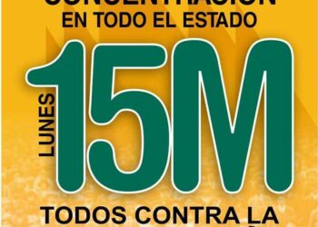 Concentración 15 de Mayo en más de 30 ciudades: Todos contra la corrupción