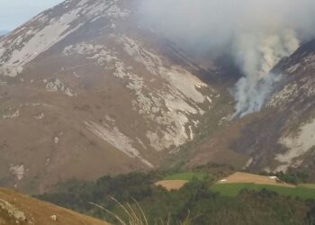 Los grupos ambientales denunciamos a los partidos asturianos que ceden ante los incendiarios