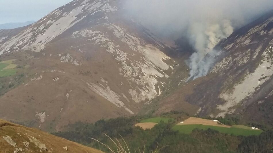 Los grupos ambientales denunciamos a los partidos asturianos que ceden ante los incendiarios