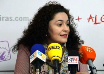 IU espera cambios en el Ejecutivo de Susana Díaz: “Es un pollo sin cabeza”