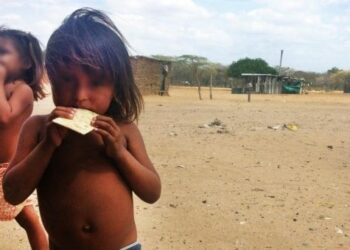 Mueren ocho niños por desnutrición en Colombia