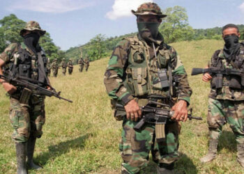 Aumentan acciones paramilitares en Colombia