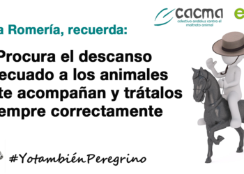 Cacma y EQUO se unen este Rocío para pedir que se extreme el cuidado de los animales que participan en la romería