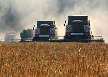 “Las sanciones occidentales han convertido a Rusia en una superpotencia agrícola”.. Y sin transgénicos