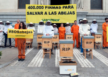 Apicultores y activistas de Greenpeace entregan en el Ministerio de Agricultura 400.000 firmas para salvar las abejas