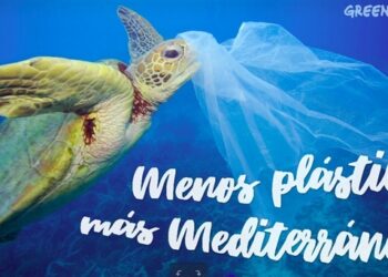 Mediterráneo: el 96% de las muestras de basura marina en la superficie son plásticos