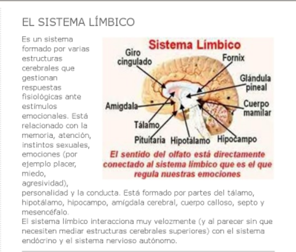 Dialéctico dialoga con Daimon, la fuente del Ello; la fuerza límbica