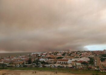 Iniciativa Andalucista considera que el incendio en el entorno de Doñana es el ejemplo más trágico de las políticas ambientales de los gobiernos central y andaluz