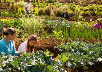 Amigos de la Tierra resalta que la agroecología aumenta las cosechas y protege el entorno
