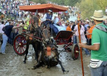 EQUO pregunta en el Congreso por el maltrato animal en El Rocío