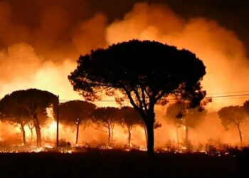 Doñana «arde como la yesca»