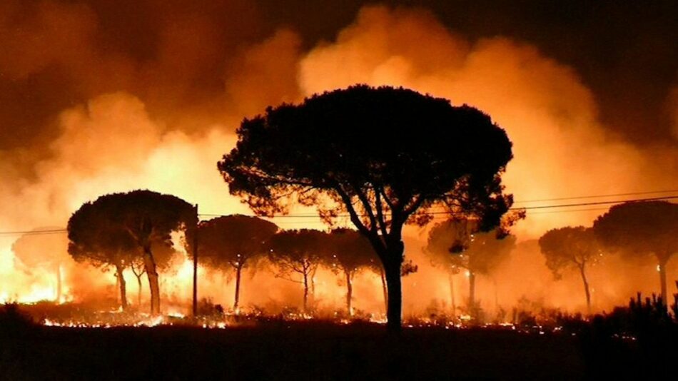 Doñana «arde como la yesca»