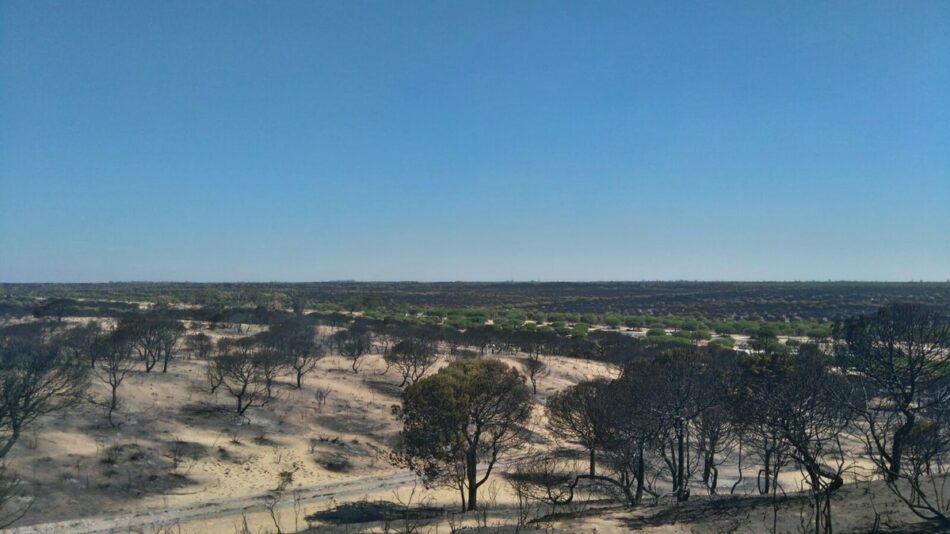 García Sempere traslada la “preocupación” de IU por el incendio de Doñana y exige “más medios para los operativos del INFOCA” porque “todo esto se veía venir”