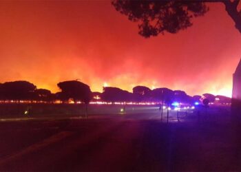 Las organizaciones ecologistas piden que se esclarezcan urgentemente las causas del incendio en Doñana