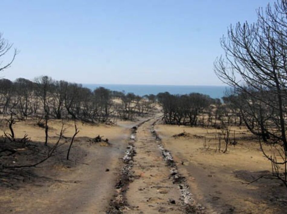 Podemos pide a la Comisión Europea que investigue si Doñana cumplía con las directivas europeas de prevención y cuidados de los espacios naturales