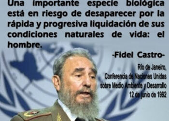 Fidel y sus ideas sobre el tema del medio ambiente
